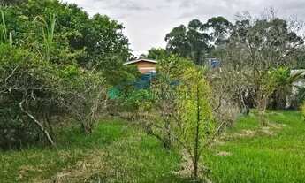 Imagem 4: Velleda oferece magnífica casa de esquina arborizada com 4 dormitórios em cond fechado