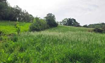 Imagem 5: Imóvel para venda com 100000 metros quadrados em São Caetano - Balsa Nova - PR