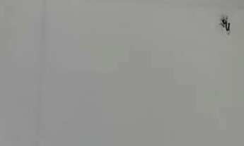 Imagem 3: Kitnet padrão Kitnet com 1 dormitório