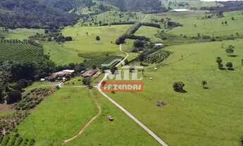 Imagem 4: Fazenda EXTRA em Goiânia 73 alqueires (353,32 Hectares)