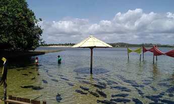 Imagem 3: Fazenda/Sítio/Chácara para venda em Praia do abais - Estância - Sergipe