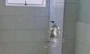 Imagem 7: Apartamento Garden com 2 dormitórios à venda, 42 m² por R$ 185.000,00 - Vila Nova Cidade U