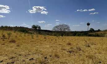 Imagem: Chácara 06 alqueires em Crixás Goiás