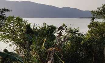 Imagem 3: Casa Beira da Lagoa do Peri - 3 Quartos