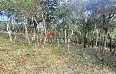 Imagem 7: Lote em Rua Parque Monterei - Parque Monterei - Campos do Jordão/SP