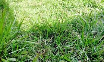 Imagem 4: Open House vende terreno de 15×30 em Itaipu Serra Grande