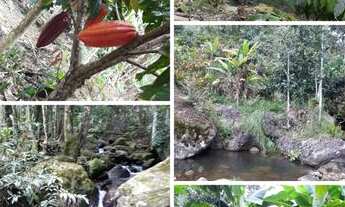 Imagem 6: Fazenda em São José da Vitória com 63 hectares