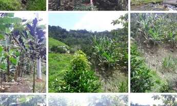 Imagem 2: Fazenda em São José da Vitória com 63 hectares