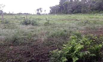 Imagem 7: Fazenda top linha porteira fechada