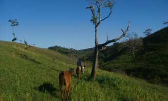 Imagem 6: Linda Fazenda Boa Vista Corgo Novo - Serrinha