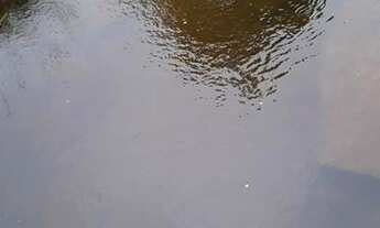 Imagem 5: Fazenda Fazenda / sítio com venda por R$80.000