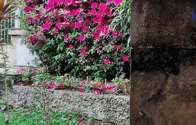 Imagem 7: Casa com 3 dormitórios à venda, 80 m² por R$ 850.000,00 - Freguesia do Ó - São Paulo/SP