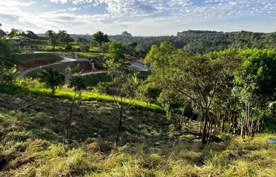 Imagem 3: Terreno para chácara