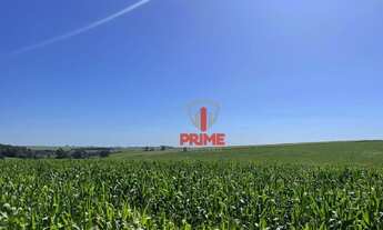 Imagem: Fazenda à venda 64 Alqueires por R$ 17.600.000