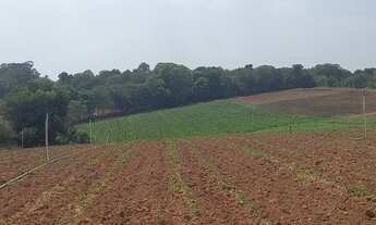 Imagem 3: N01- Terrenos aceitamos seu veículo