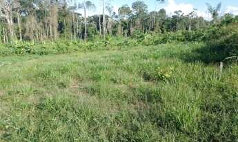 Imagem 2: VENDO TERRENO 12X25 ( Sena Madureira