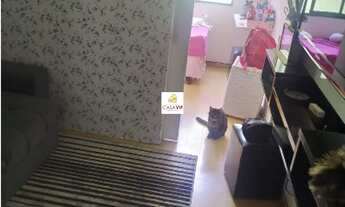 Imagem 5: Apartamento à venda, Campos Elíseos, 48m², 1 dormitório, sem vaga!