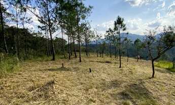 Imagem 1: Terrenos na planta