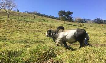 Imagem 5: Haras/ Fazenda com 3 dormitórios à venda, 400000 m² por R$ 2.600.000