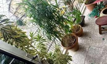 Imagem 6: Venda Apartamento com 2 dormitórios