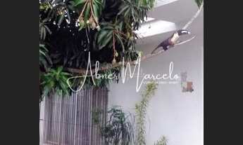 Imagem 3: Sobrado TR 300m2 04 Dormitórios 03 Suítes no Vila Betânia - São José dos Campos - R$ 800.0