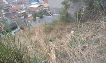 Imagem 3: Terreno próximo a estrada do tingui