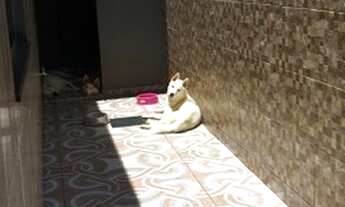 Imagem 2: Casa para venda possui 250 metros quadrados com 3 quartos em Santa Luzia - Uberlândia - MG