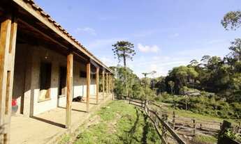 Imagem 3: Casa / Venda Casa com 3 dormitórios