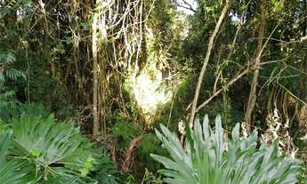 Imagem 4: Atibaia - Loteamento/Condomínio - Loteamento Rancho Maringá II