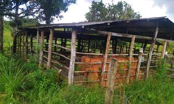 Imagem 2: VENDO SÍTIO (estância-se) 300 MIL