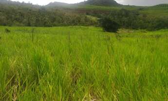 Imagem 5: VENDO SÍTIO (estância-se) 300 MIL