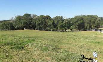 Imagem 5: Chácara com 1 dormitório à venda, 10000 m² por R$ 1.200.000,00 - Colônia Murici - São José