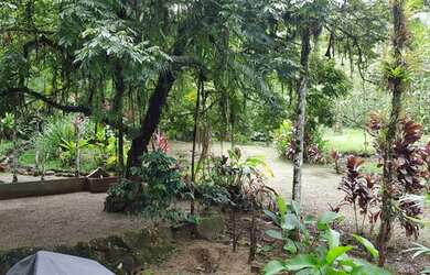 Imagem 5: CHÁCARA LIMDA EM MORRETES