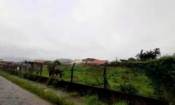 Imagem 4: Terreno - Palhoça SC