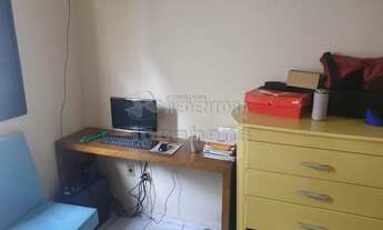 Imagem 5: São José do Rio Preto - Casa Padrão - Jardim Gisette