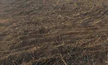 Imagem: Fazenda Piauí 664 hectares