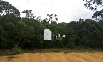 Imagem: Terreno de 5000m² em Joinville, Santa Catarina