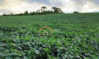 Imagem 3: Terreno Rural 140.000m² com 8 hectares de lavoura pronta em Campo Belo do Sul - SC