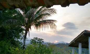 Imagem 6: Sítio em Pedro de Toledo