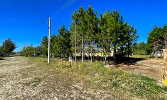 Imagem 3: Terreno proximo ao comércio, Bellatorres