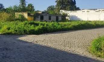 Imagem 3: 1200m² na região da noide