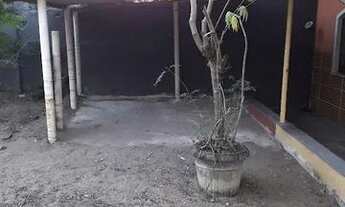 Imagem 4: Vendo Casa em São Vicente Araruama RJ 1 Quarto Garagem Coberta Quintal com Frutíferas