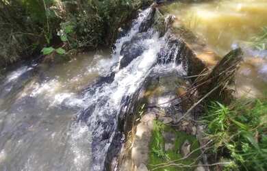 Imagem 3: Terreno com ótimos valores