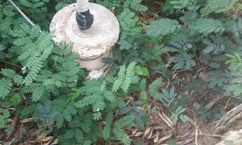 Imagem 4: Linda Fazenda com 380 hectares na chapada de Apodi-RN