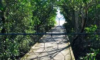 Imagem: Amplo apto ponta das canas