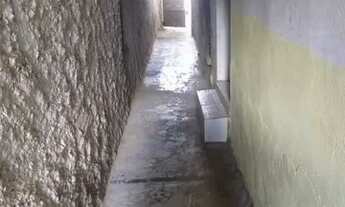 Imagem: Aluga-se bugio