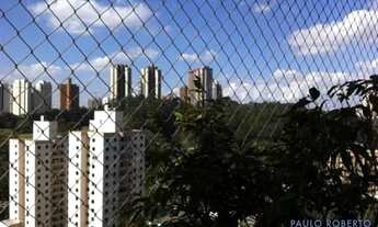 Imagem 6: APARTAMENTO - MORUMBI - SP