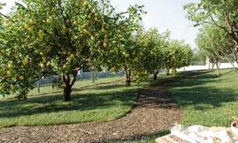 Imagem 4: Vem Aí... Lotes Novo Jardins FGR - minutos do Portal Sul Shopping - Ap. de Goiânia