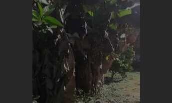 Imagem 5: Vendo Casa na Roça