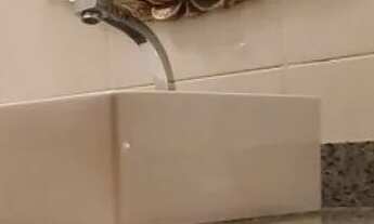 Imagem 6: CASA ASSOBRADADA - JARDIM GUEDALA - SP